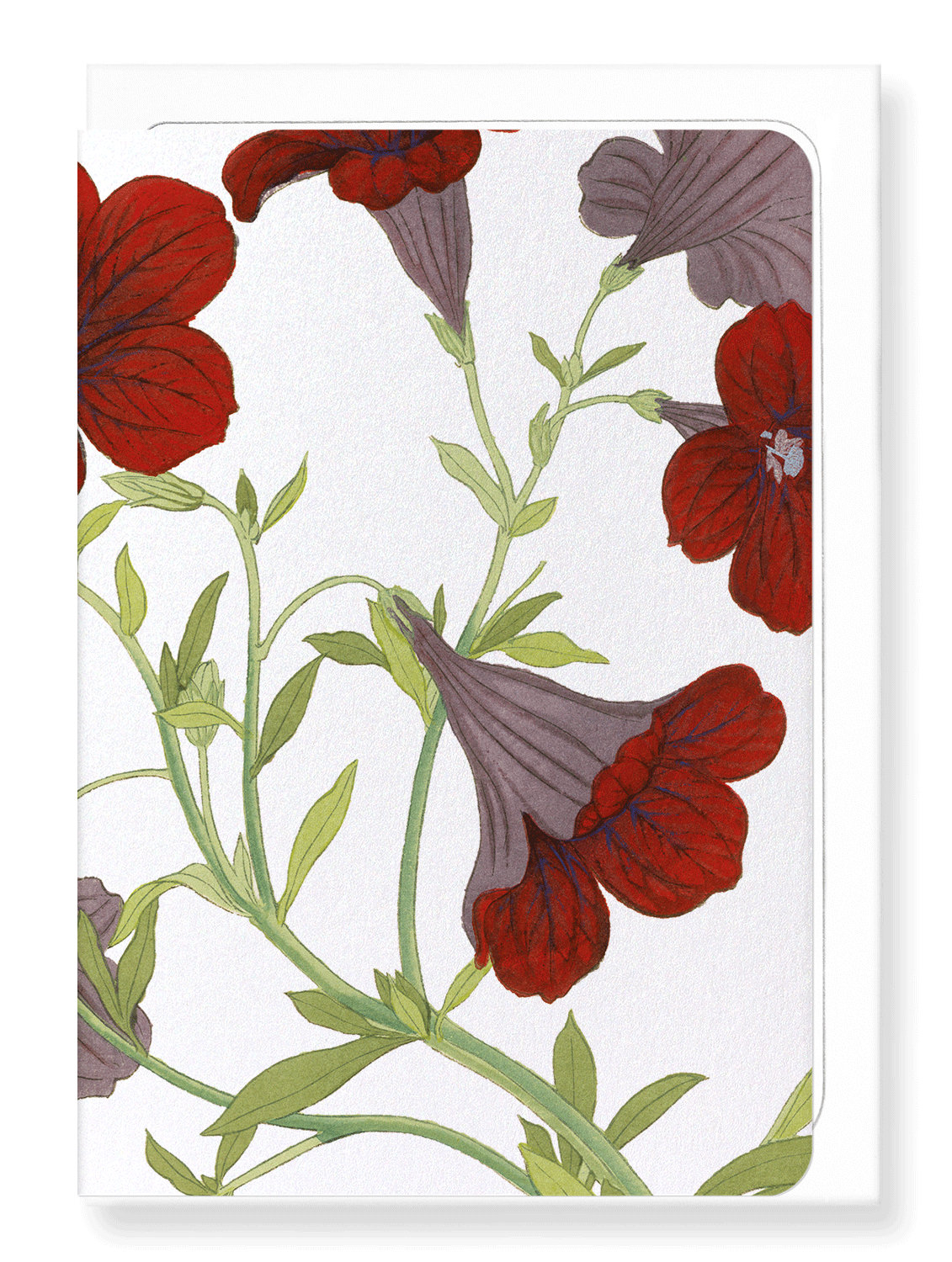 Ezen Designs - BIRDS OF PARADISE - Greeting Card - Front