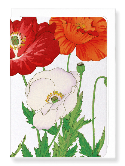 Ezen Designs - BIRDS OF PARADISE - Greeting Card - Front