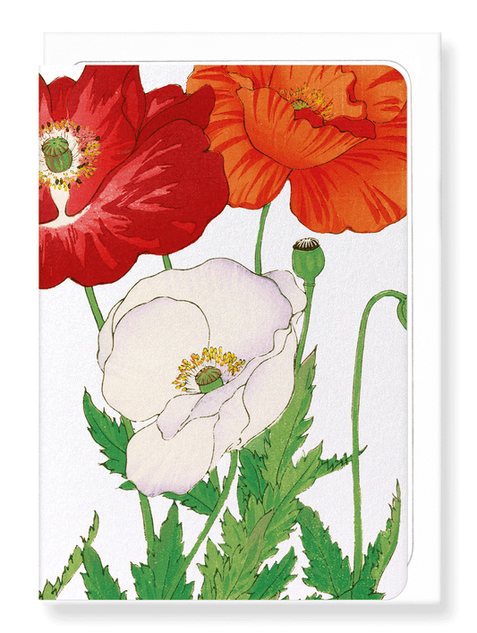 Ezen Designs - BIRDS OF PARADISE - Greeting Card - Front