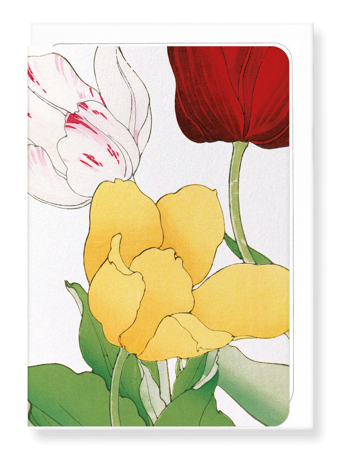 Ezen Designs - BIRDS OF PARADISE - Greeting Card - Front