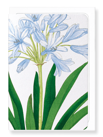 Ezen Designs - BIRDS OF PARADISE - Greeting Card - Front