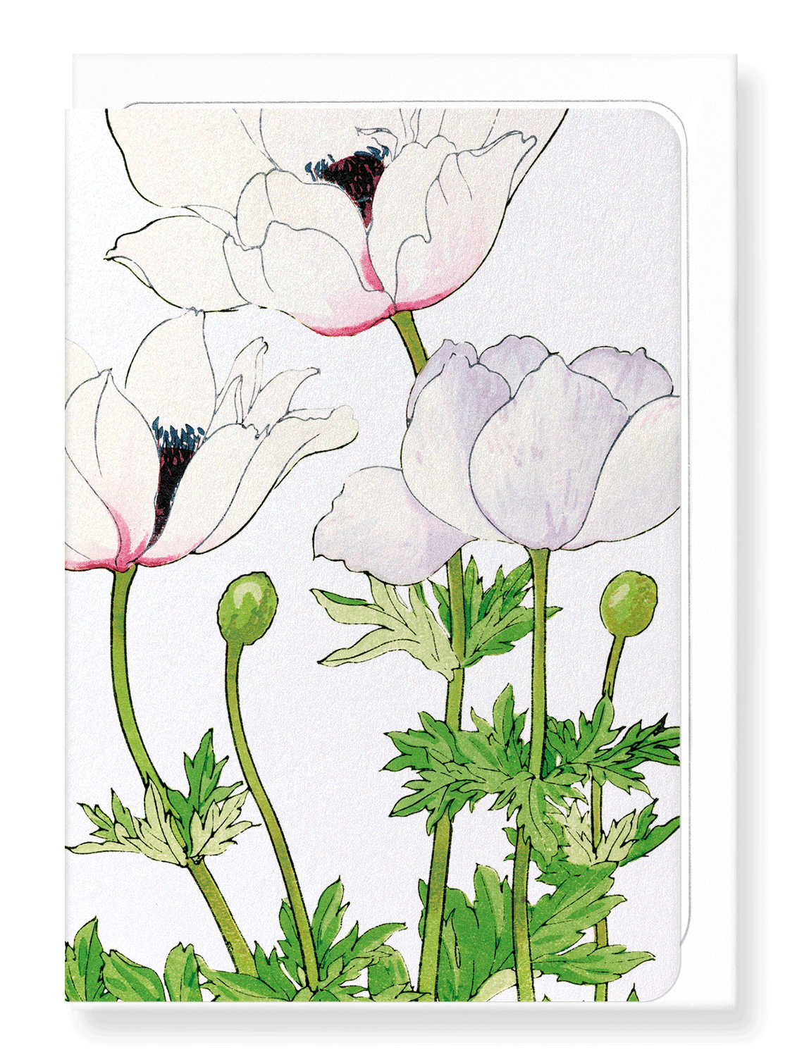 Ezen Designs - BIRDS OF PARADISE - Greeting Card - Front