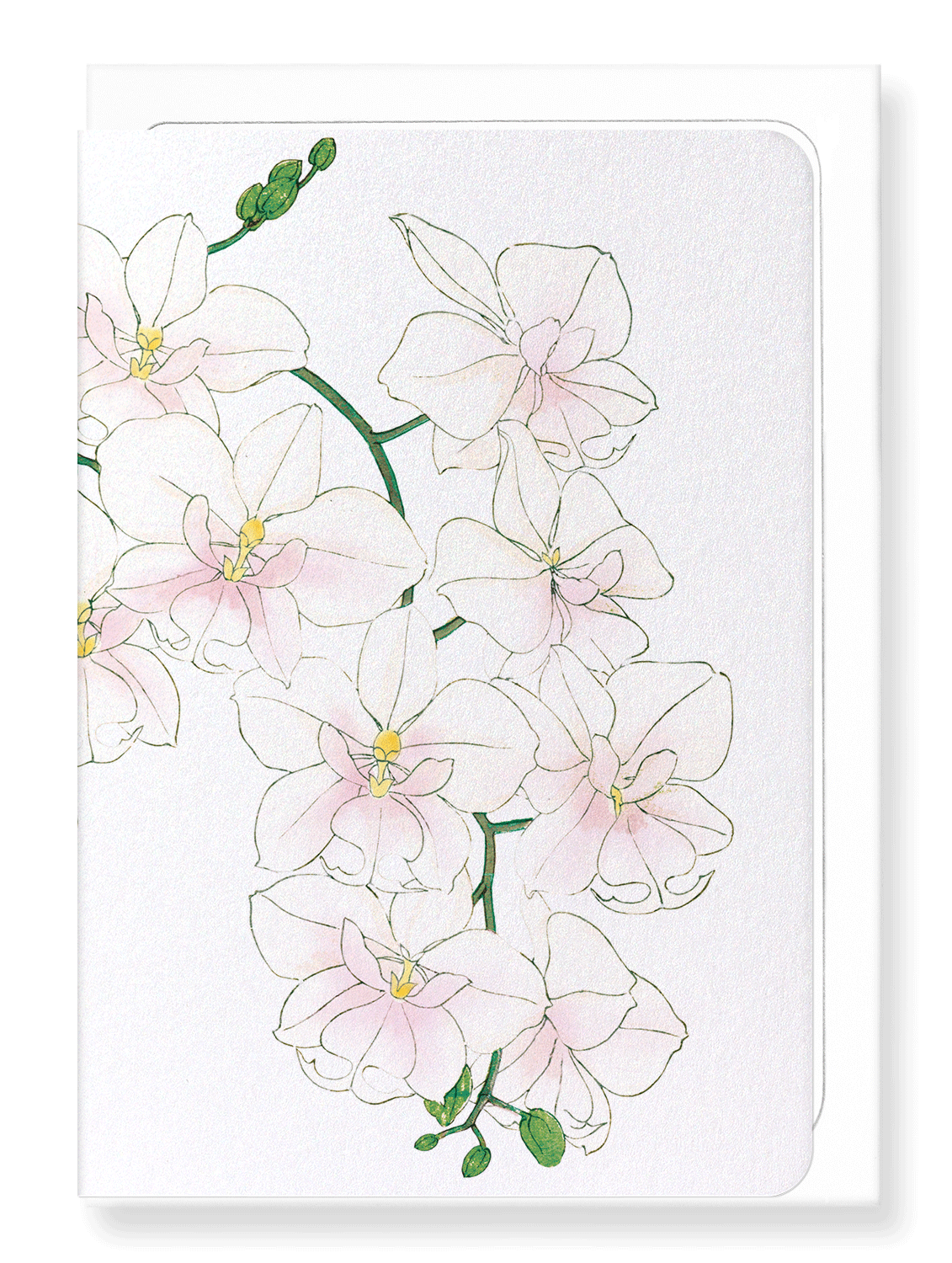 Ezen Designs - BIRDS OF PARADISE - Greeting Card - Front