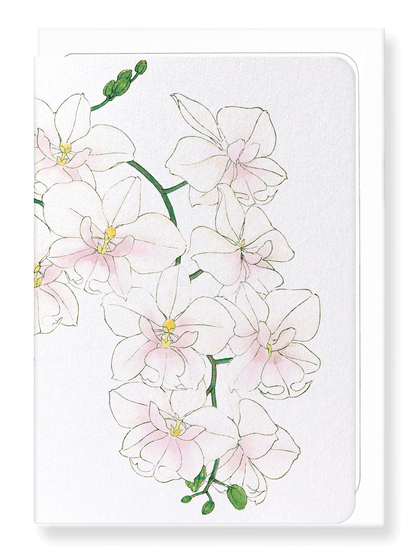 Ezen Designs - BIRDS OF PARADISE - Greeting Card - Front