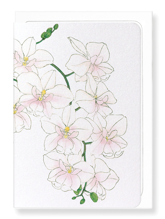 Ezen Designs - BIRDS OF PARADISE - Greeting Card - Front