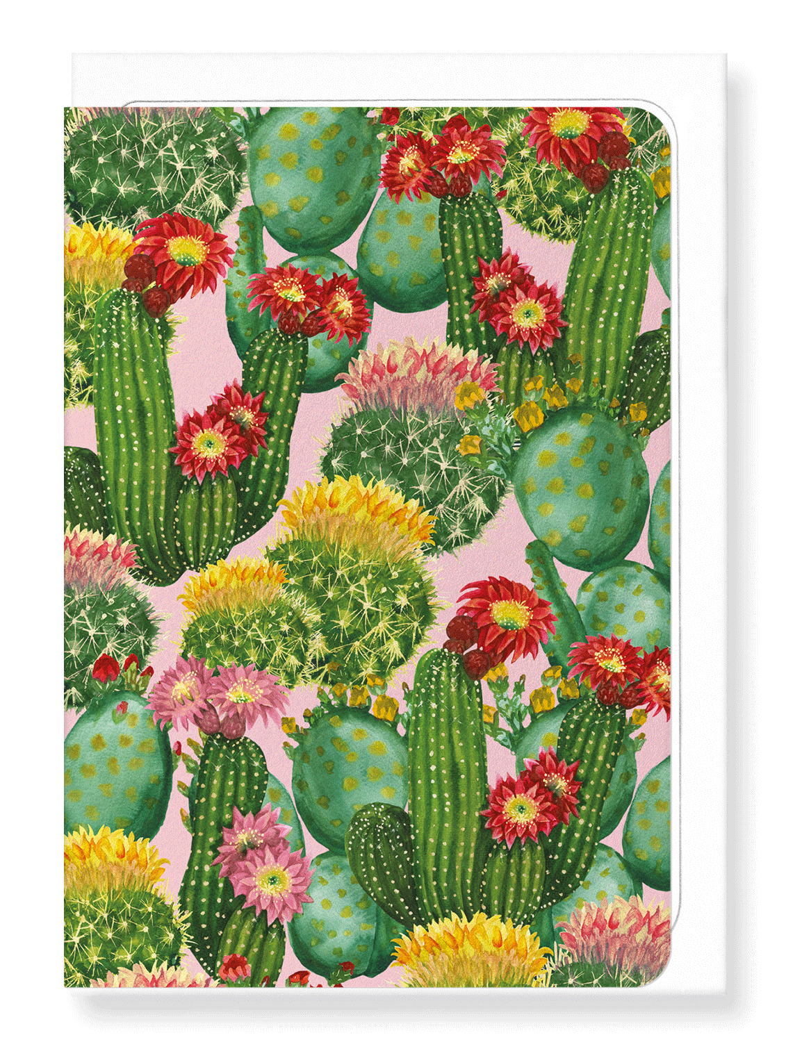 Ezen Designs - Colourful cacti - Greeting Card - Front