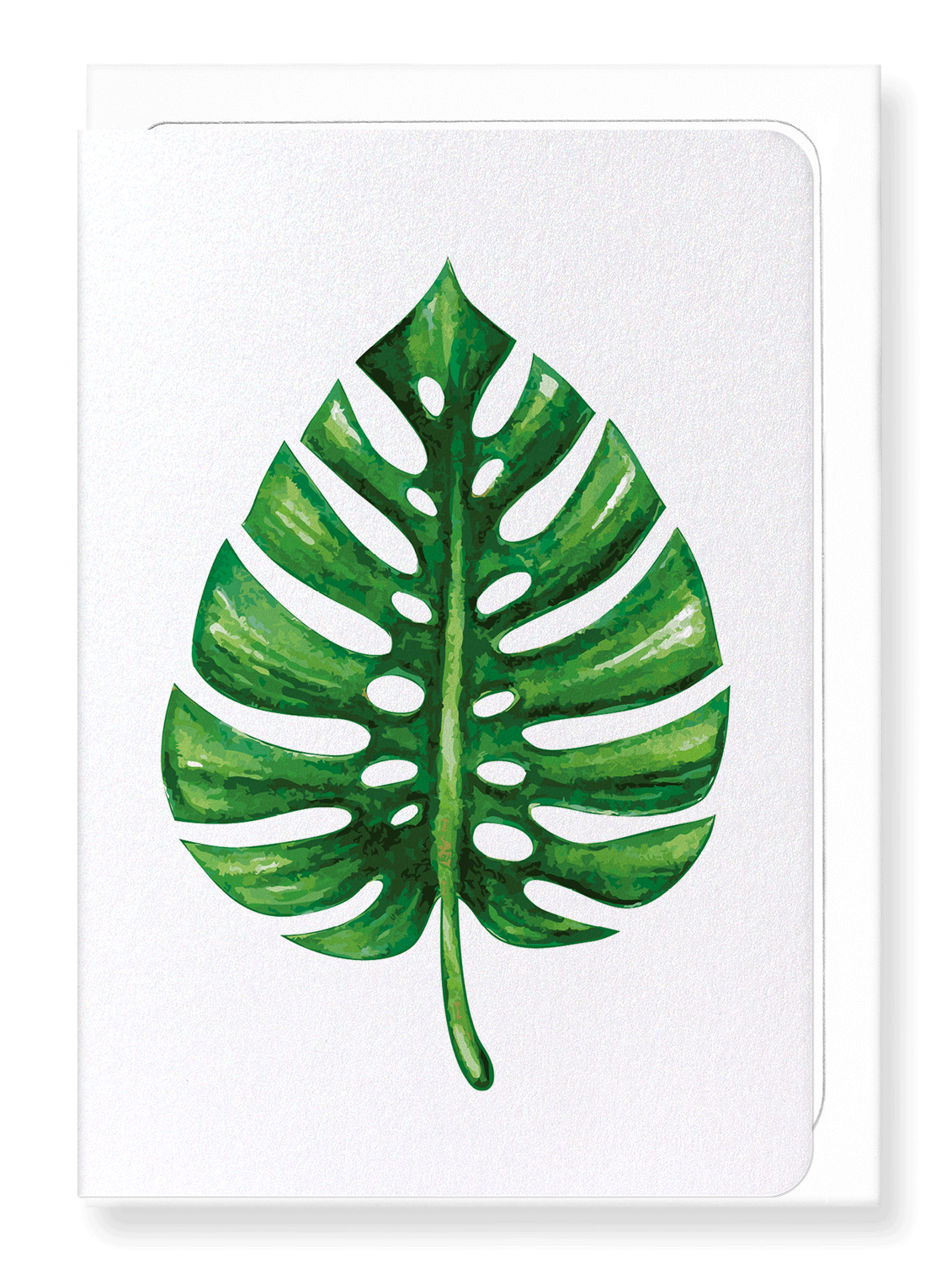 Ezen Designs - Monstera deliciosa - Greeting Card - Front