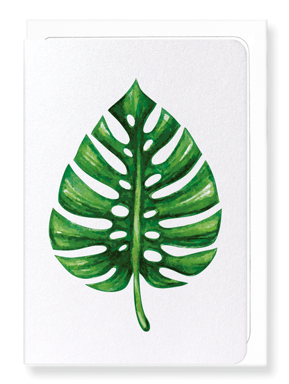 Ezen Designs - Monstera deliciosa - Greeting Card - Front