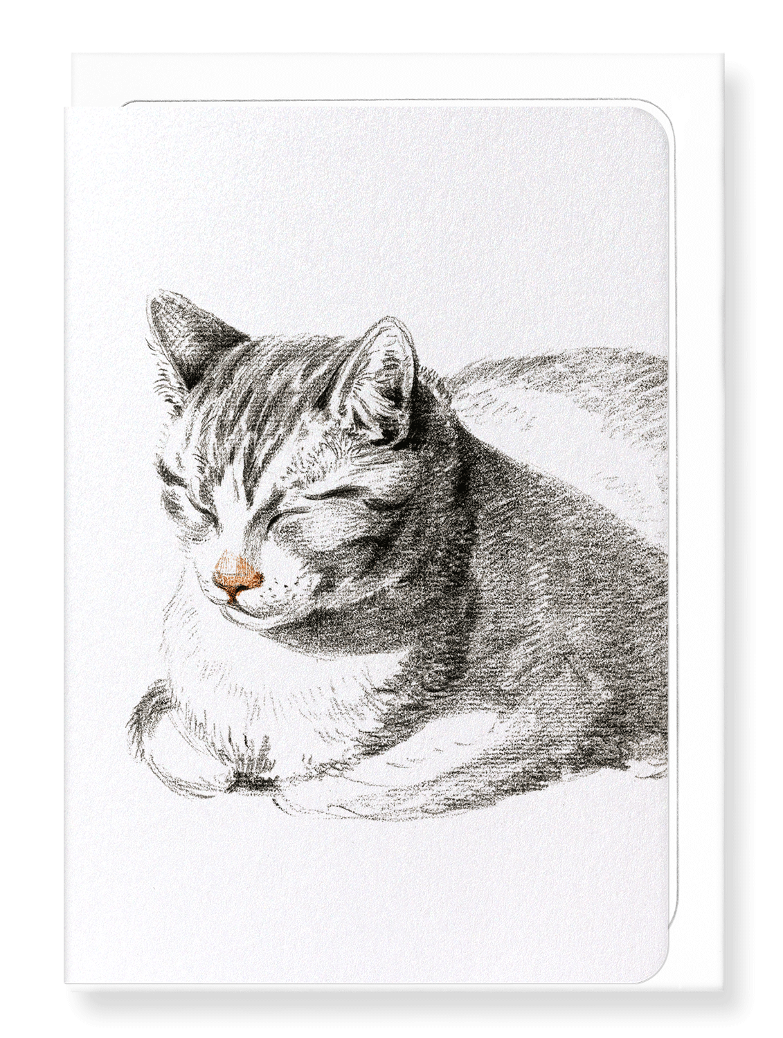 Ezen Designs - Lying cat diagonally (1808) - Greeting Card - Front