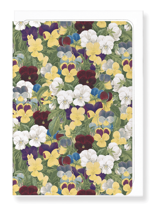 Ezen Designs - Pansies - Greeting Card - Front
