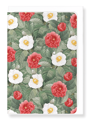 Ezen Designs - Camellia japonica - Greeting Card - Front