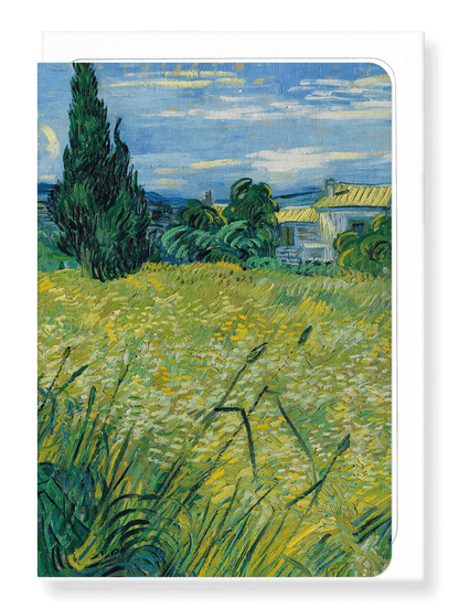 Ezen Designs - Green wheat (1889) - Greeting Card - Front
