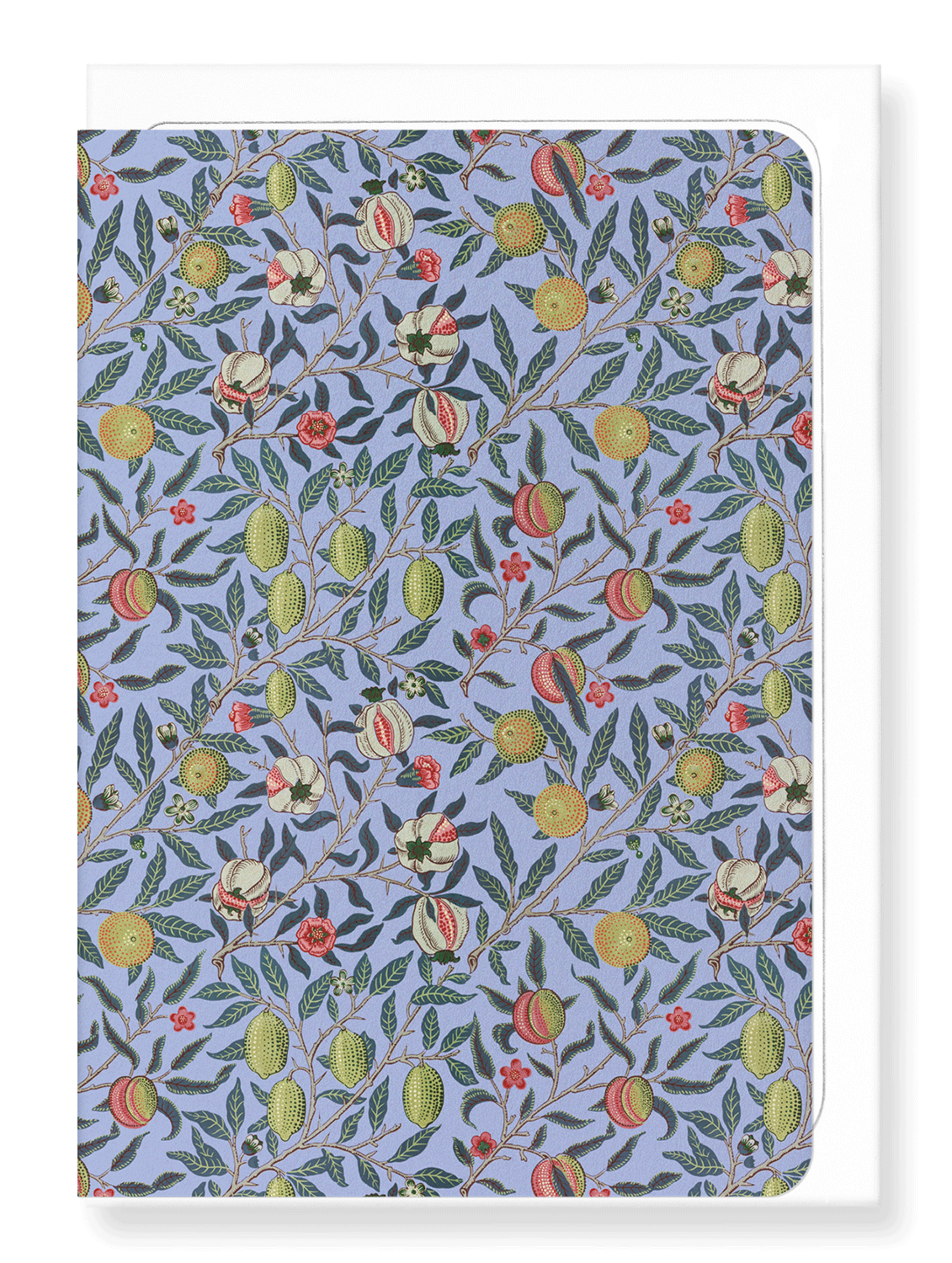 Ezen Designs - Pomegranate fruit (c.1866)  - Greeting Card - Front