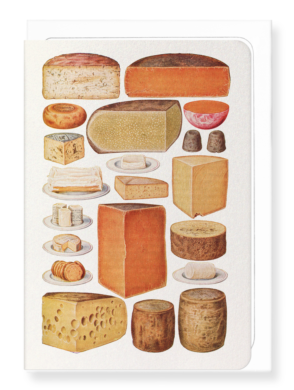 Ezen Designs - Cheeses (1923) - Greeting Card - Front