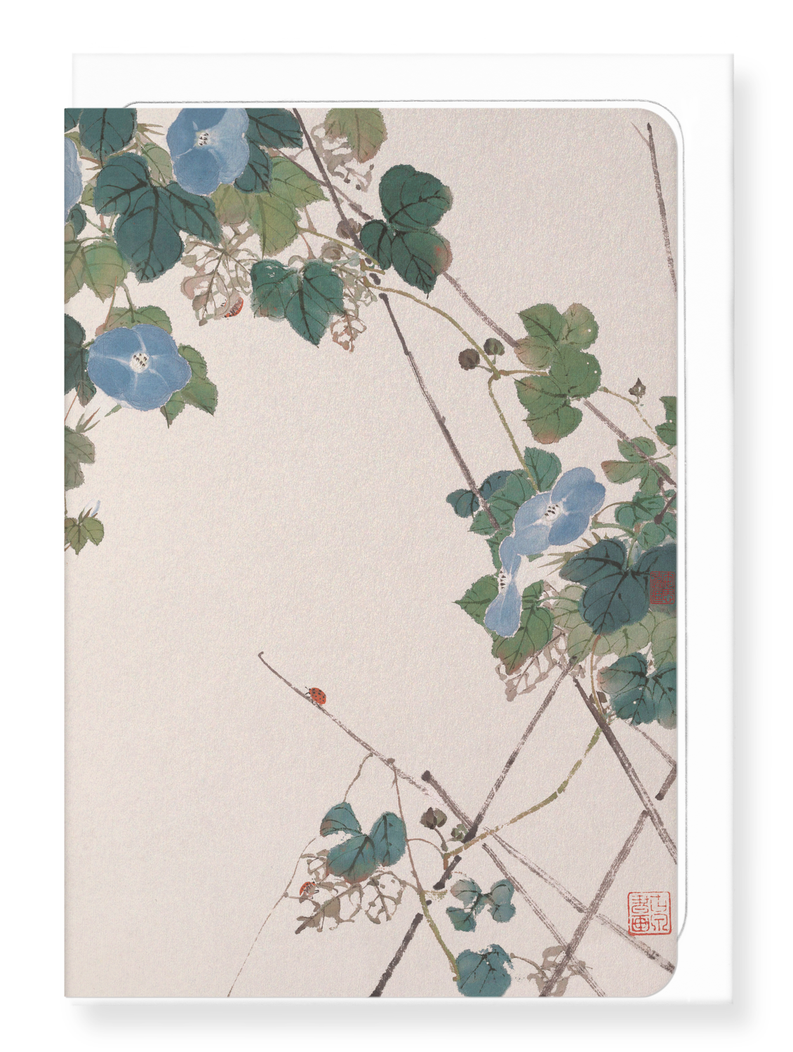 Ezen Designs - Ladybird and Morning Glory Flowers (1865) - Greeting Card - Front