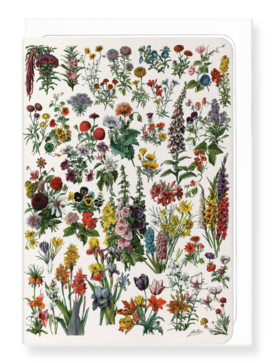 Ezen Designs - Illustration of Flowers - A (c.1900) - Greeting Card - Front