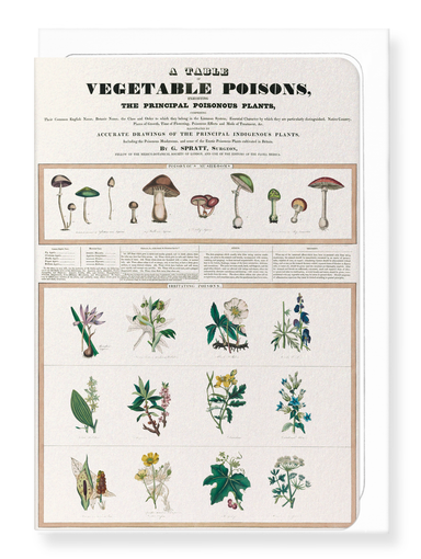 Ezen Designs - Poisonous Mushrooms (1843) - Greeting Card - Front