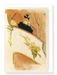 Ezen Designs - La Loge au Mascaron Doré (1893) - Greeting Card - Front