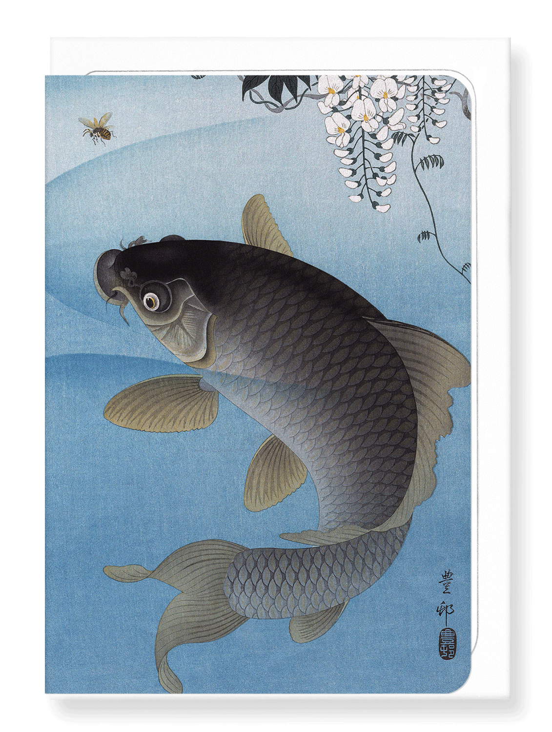 Ezen Designs - Carp and wisteria - Greeting Card - Front