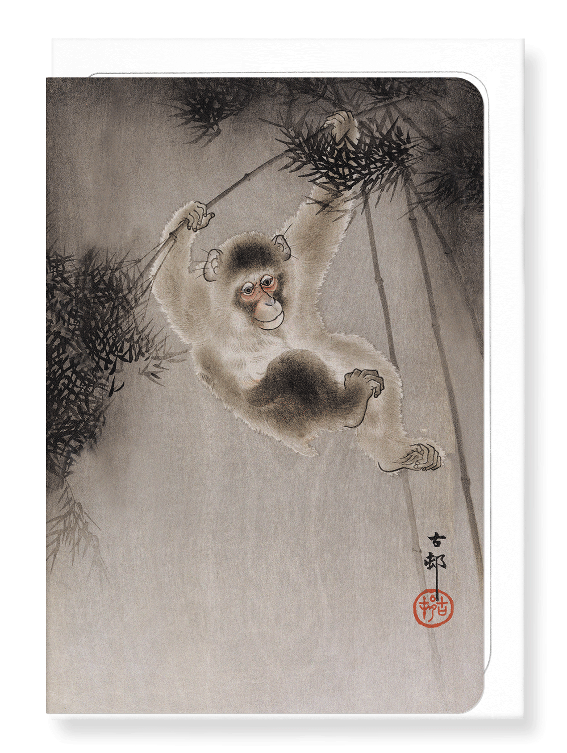 Ezen Designs - Monkey and bamboo - Greeting Card - Front