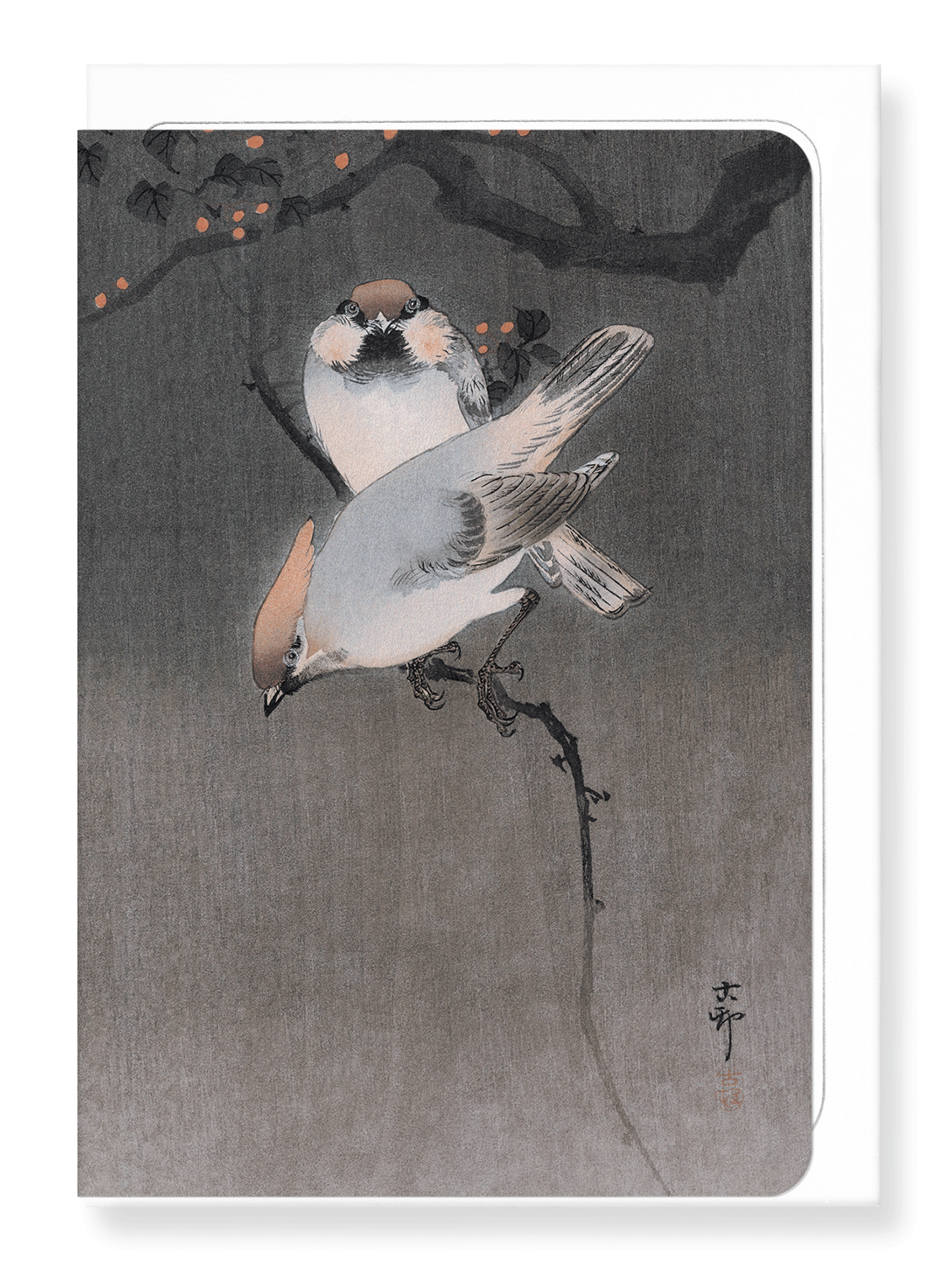 Ezen Designs - Waxwing birds - Greeting Card - Front