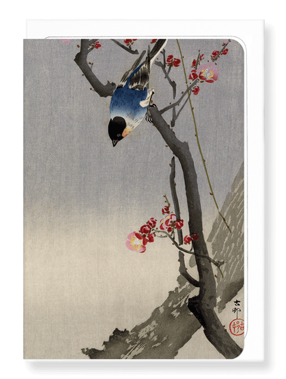 Ezen Designs - Bullfinch bird - Greeting Card - Front