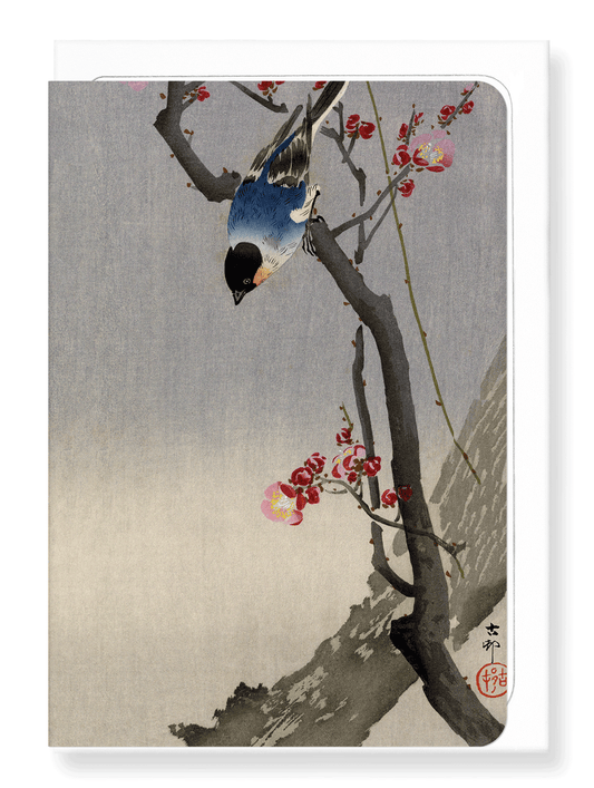 Ezen Designs - Bullfinch bird - Greeting Card - Front