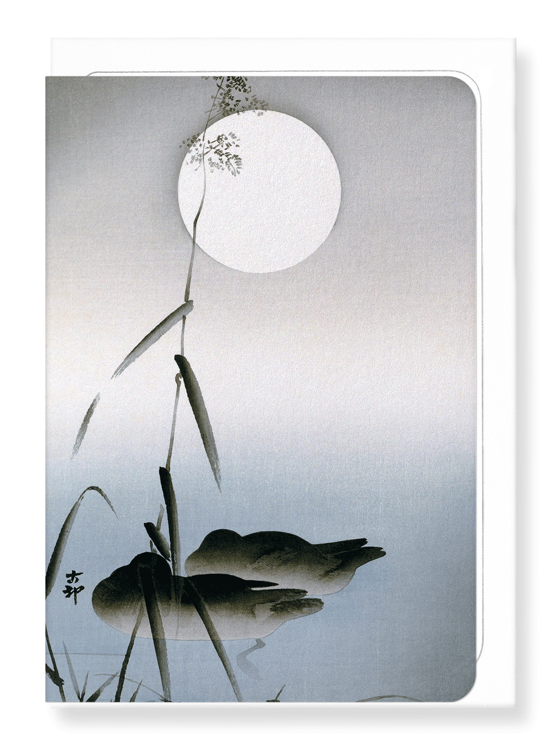 Ezen Designs - Two sleeping mallards - Greeting Card - Front