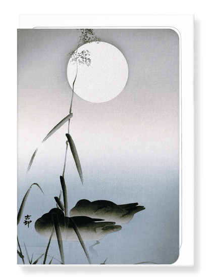 Ezen Designs - Two sleeping mallards - Greeting Card - Front