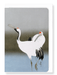 Ezen Designs - Couple of cranes - Greeting Card - Front