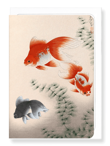 Ezen Designs - Goldfish - Greeting Card - Front