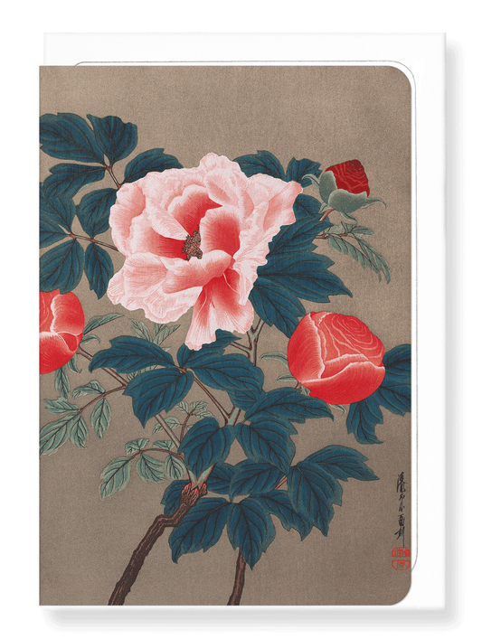 Ezen Designs - Peonies (1900s) - Greeting Card - Front