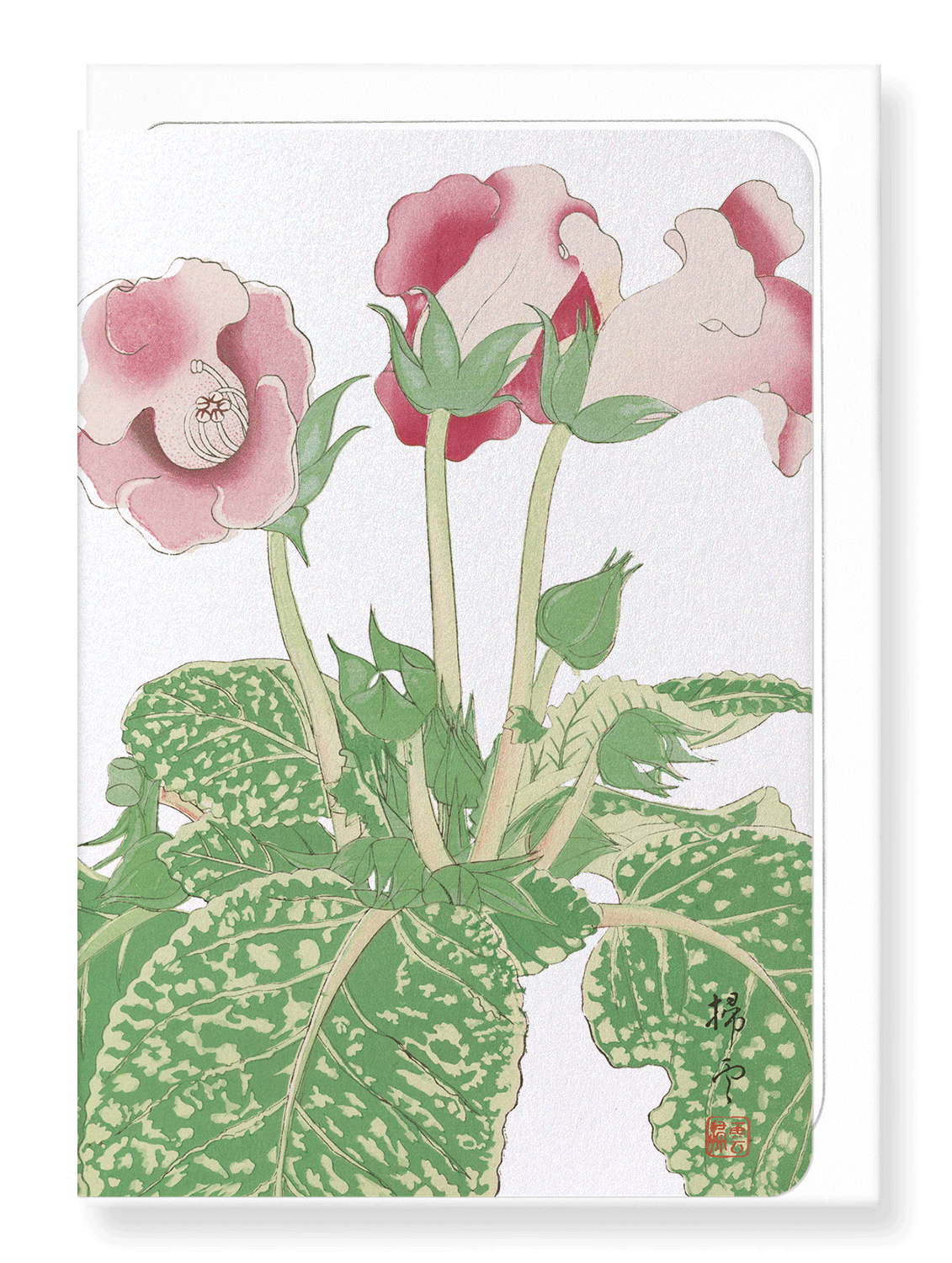 Ezen Designs - Gloxinia Flower (c.1910) - Greeting Card - Front
