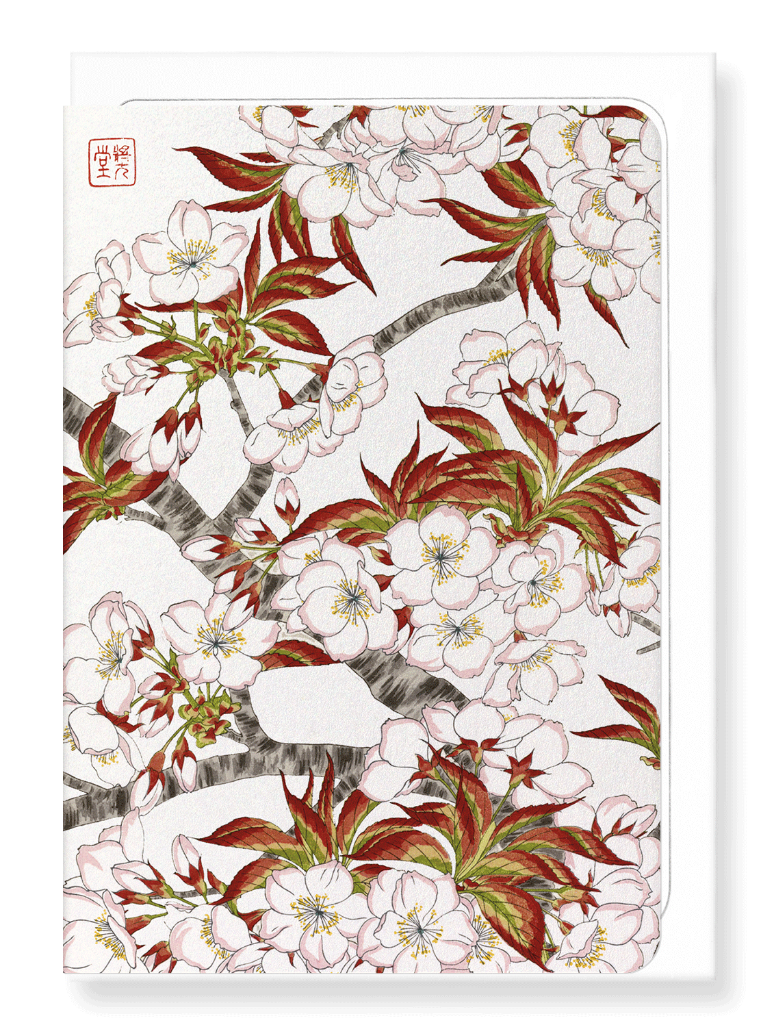 Ezen Designs - Cherry blossom flowers - Greeting Card - Front
