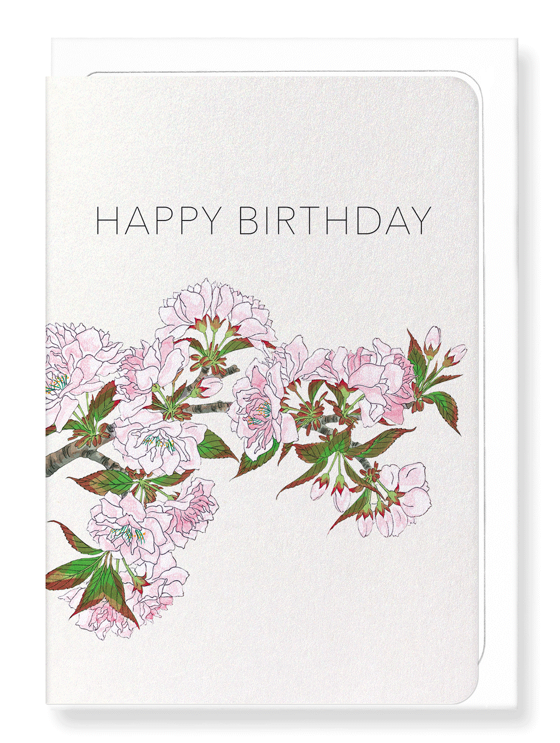 Ezen Designs - Happy birthday cherry blossoms - Greeting Card - Front