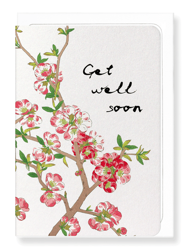 Ezen Designs - Get well soon quince flowers - Greeting Card - Front