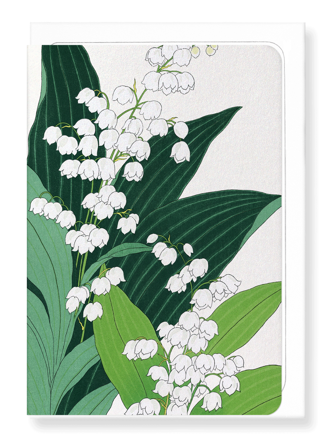 Ezen Designs - Lily of the valley - Greeting Card - Front