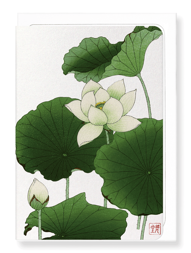 Ezen Designs - Lotus flower - Greeting Card - Front