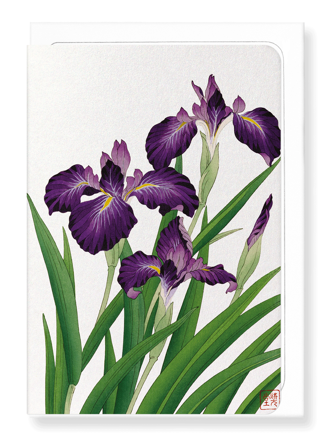 Ezen Designs - Purple iris - Greeting Card - Front