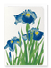 Ezen Designs - Blue iris - Greeting Card - Front