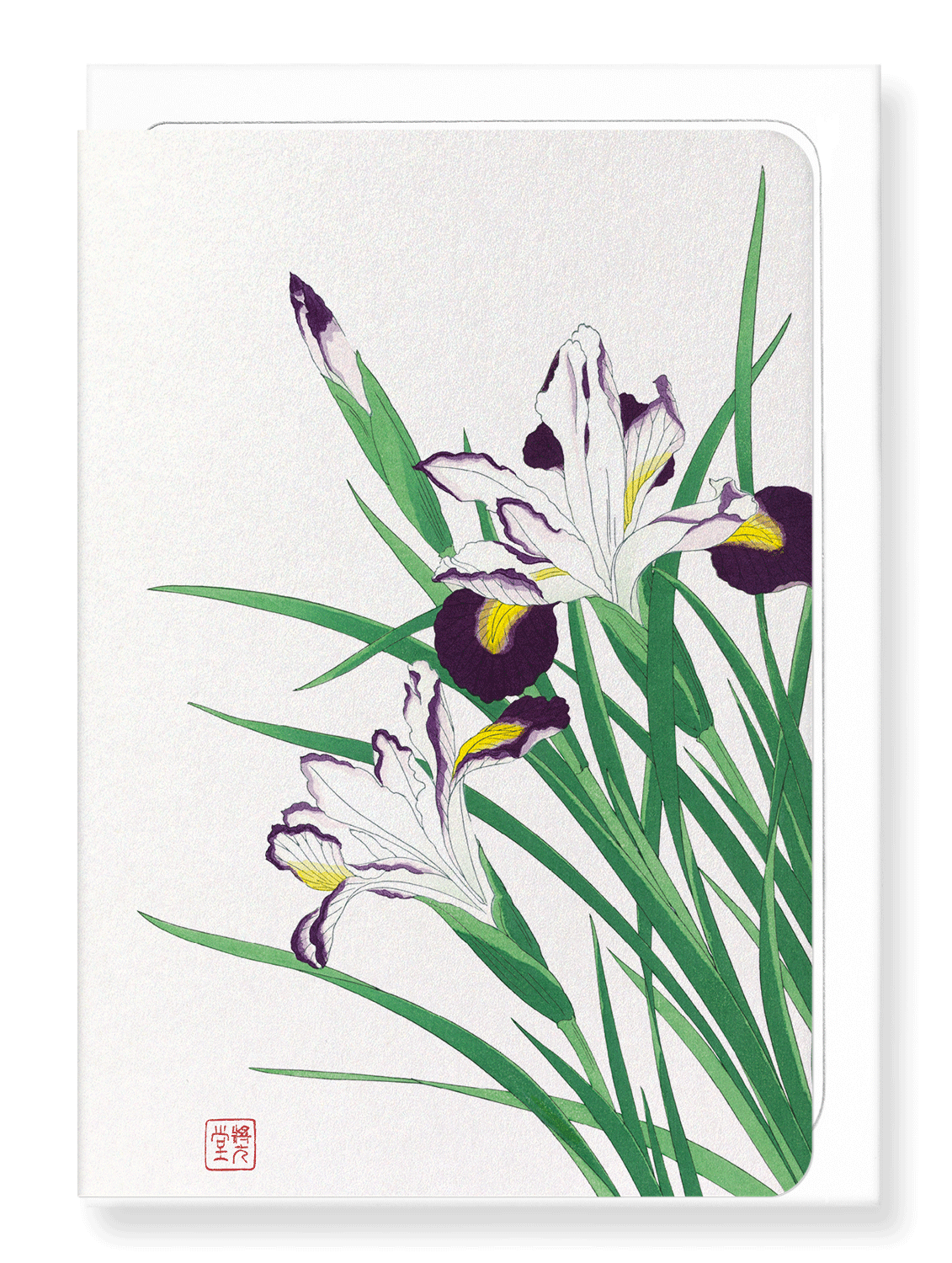 Ezen Designs - Irises - Greeting Card - Front