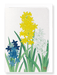 Ezen Designs - Hyacinths - Greeting Card - Front