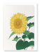 Ezen Designs - Sunflower - Greeting Card - Front
