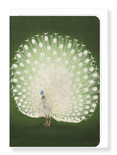 Ezen Designs - White peacock - Greeting Card - Front