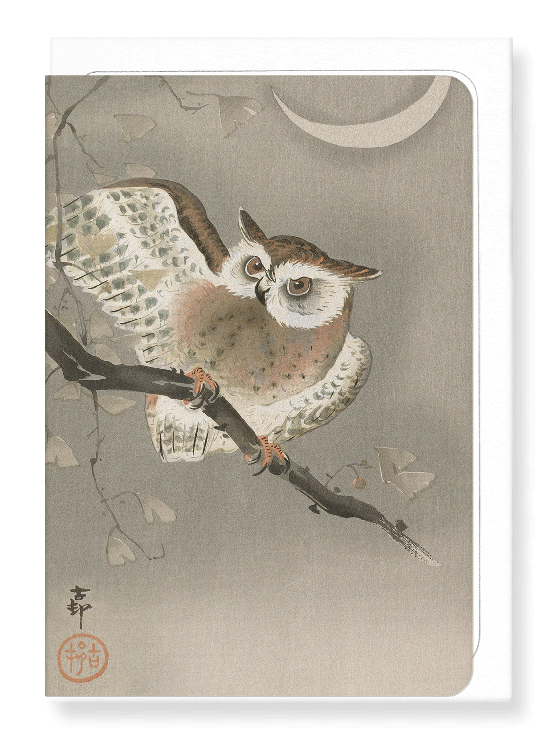 Ezen Designs - Long-eared owl - Greeting Card - Front