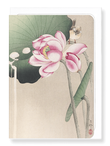Ezen Designs - Songbird and lotus - Greeting Card - Front