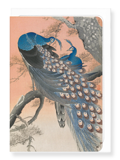 Ezen Designs - Couple of peacocks (C.1910) - Greeting Card - Front