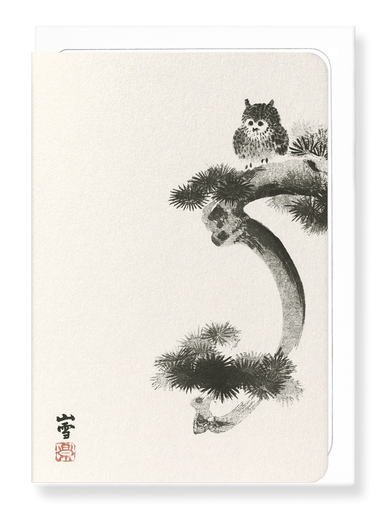 Ezen Designs - Owl on pine tree - Greeting Card - Front