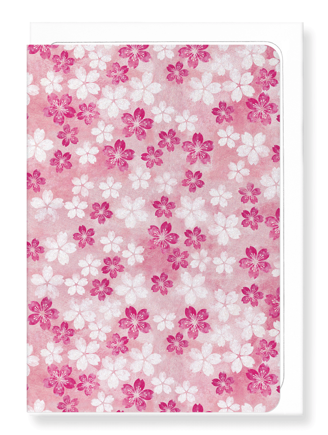 Ezen Designs - Cherry blossom on pink - Greeting Card - Front