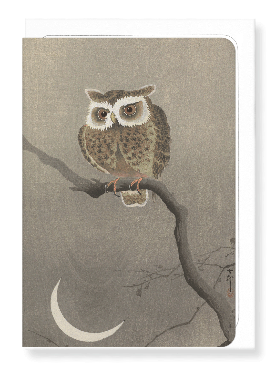 Ezen Designs - Long-eared owl on tree branch - Greeting Card - Front